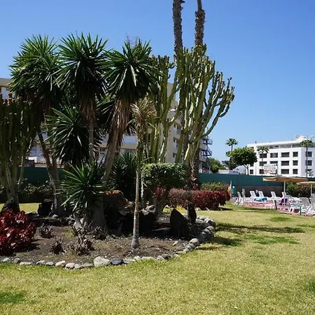Notre Maspalomas (Gran Canaria)